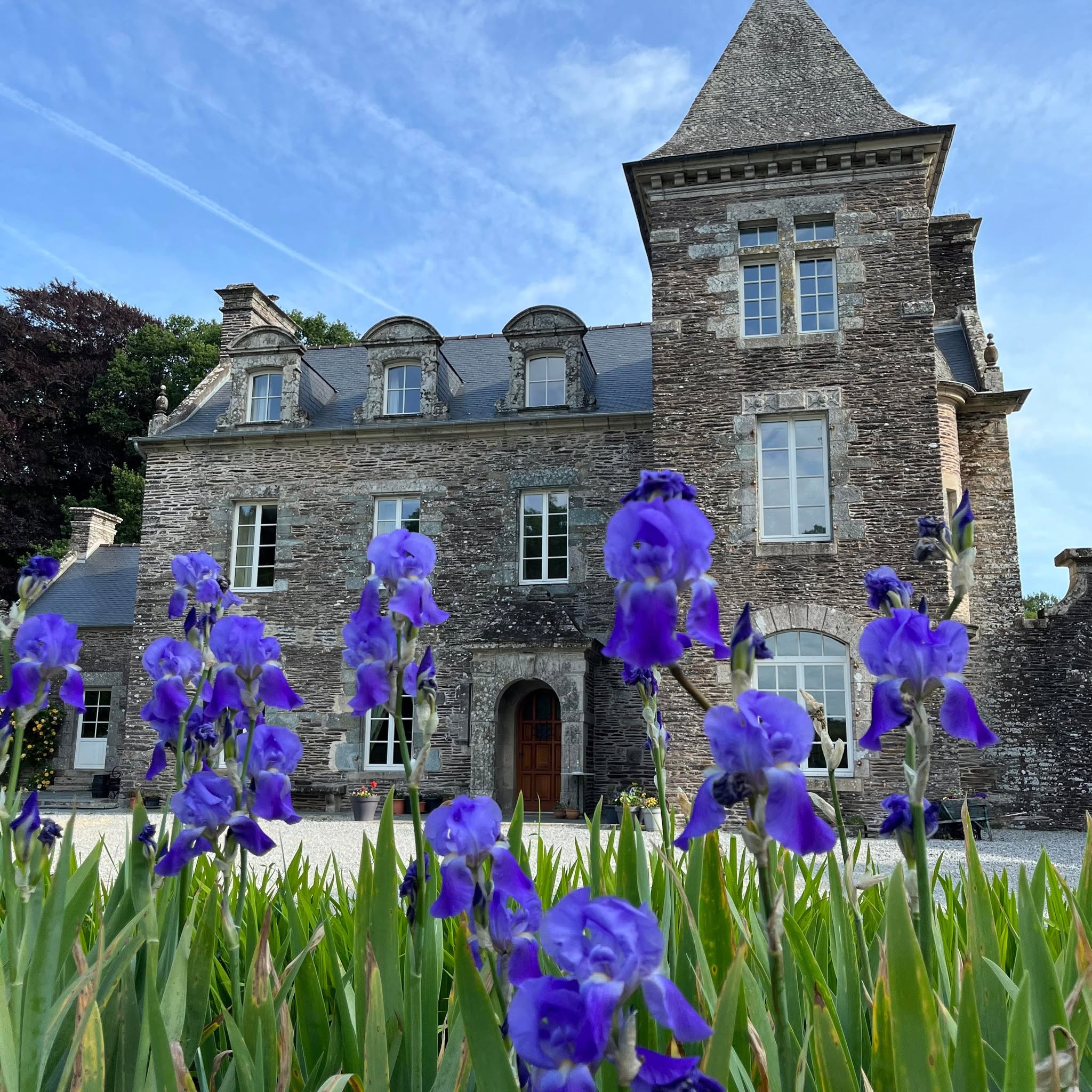 Château d'hôtes de la Ville Voisin à Augan, Bretagne, et ses iris en fleurs